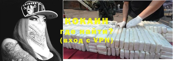 гидра Заводоуковск