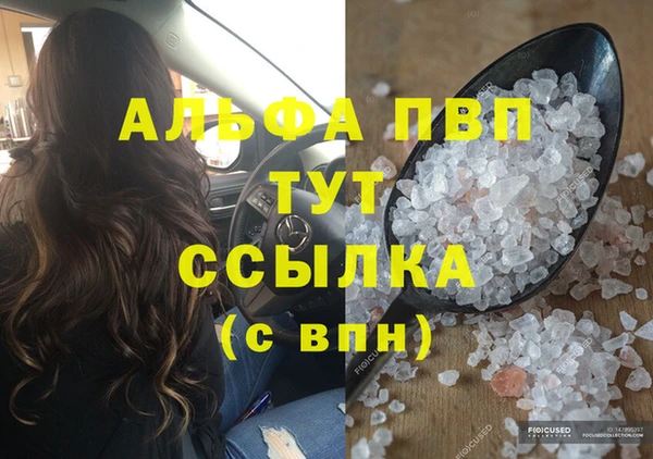 индика Елабуга