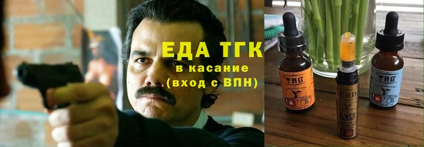 гидра Заводоуковск