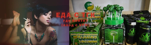 индика Елабуга