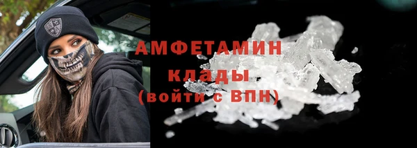 шишки Заволжск