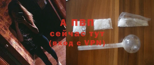 шишки Заволжск