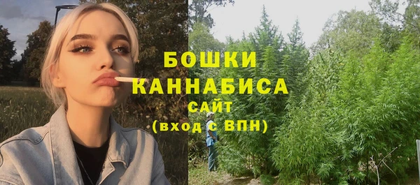 шишки Заволжск