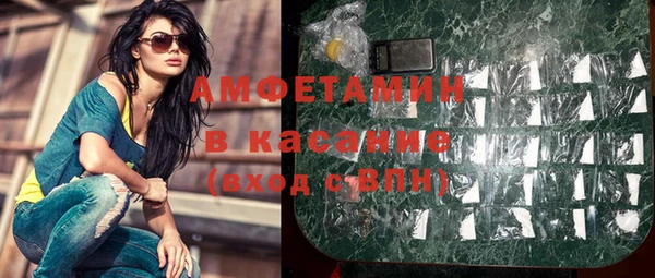 индика Елабуга