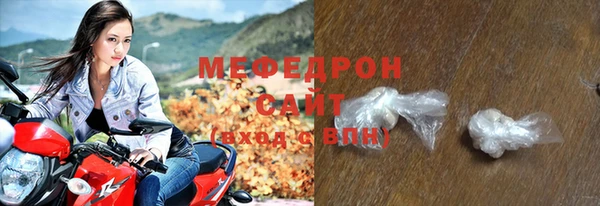 индика Елабуга