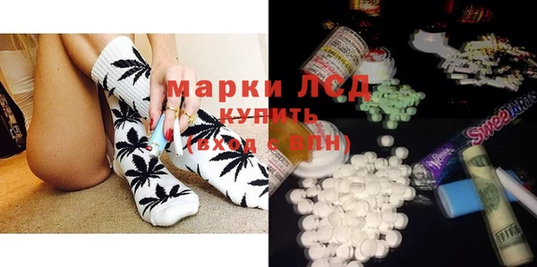гидра Заводоуковск