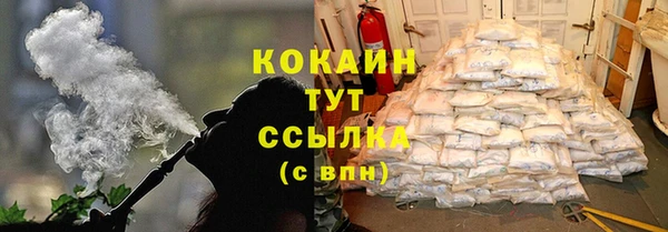 гидра Заводоуковск