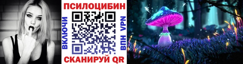 Купить где  Артёмовский  Псилоцибиновые грибы Psilocybine cubensis 